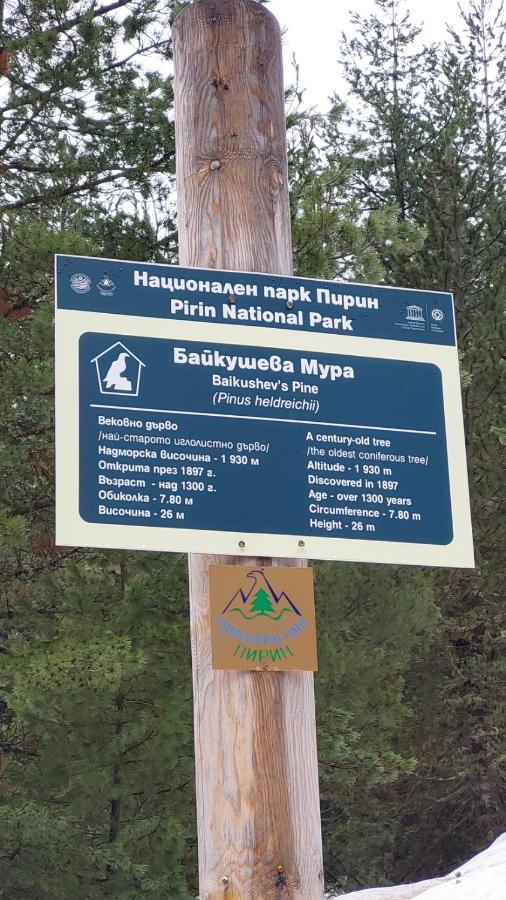 Free Spa В Св. Иван Рилски - Сладък Дом Сред Лукс Bansko Exterior photo